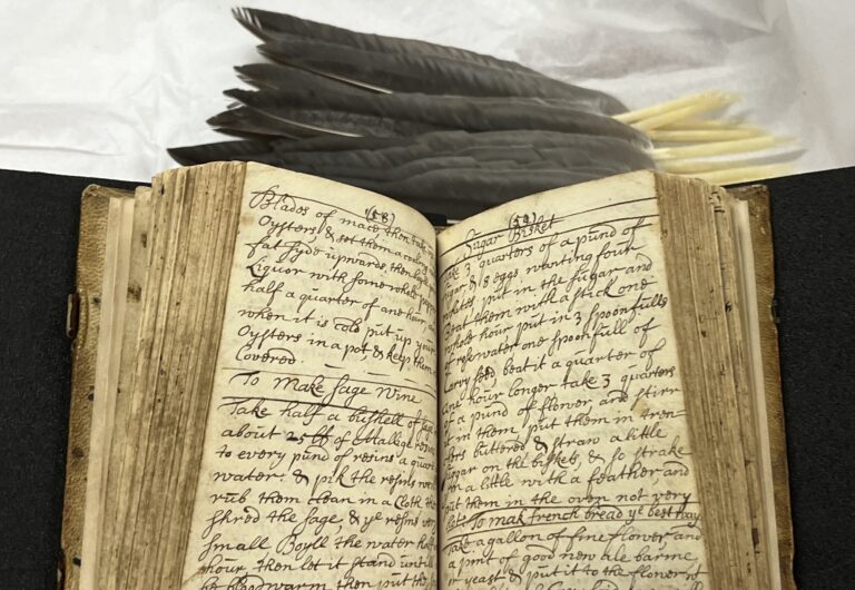 A photograph of a handwritten book with feathers on top.